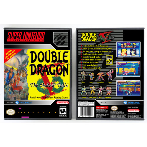 Double Dragon V: The Shadow Falls